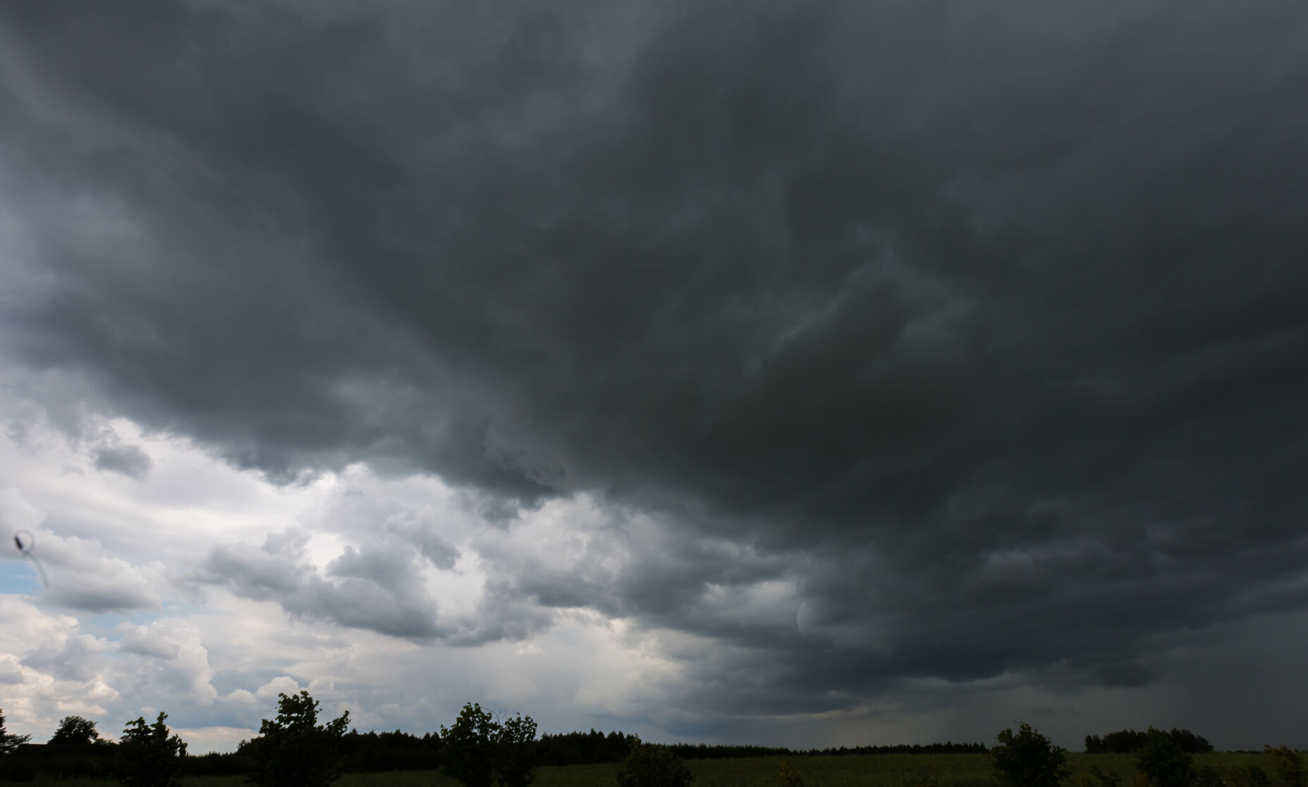 Summer landscape with storm sky over rye field